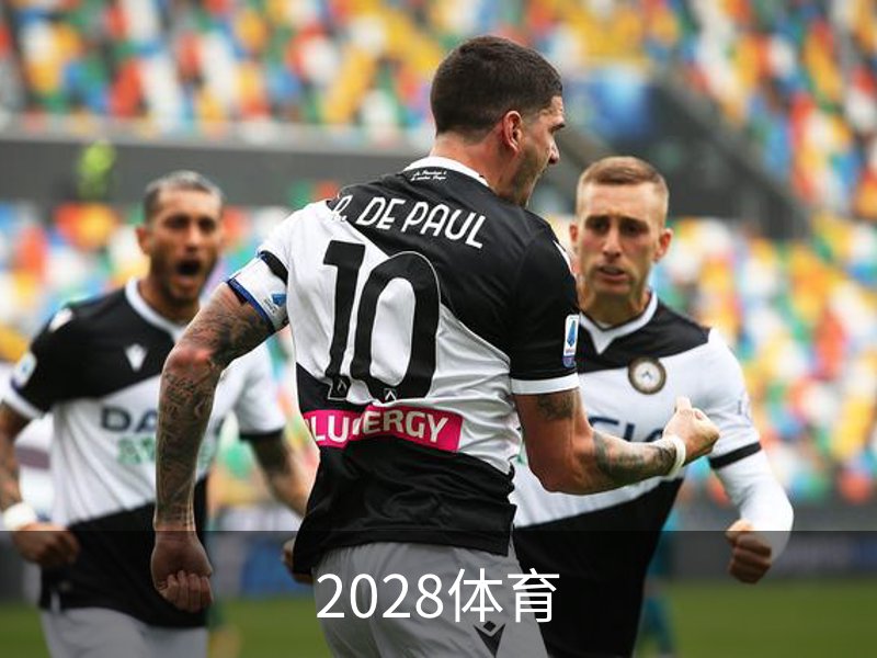 2028体育概况
